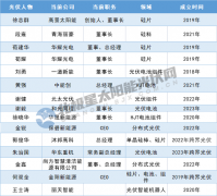 离开光伏龙头后，这些高管在干啥？